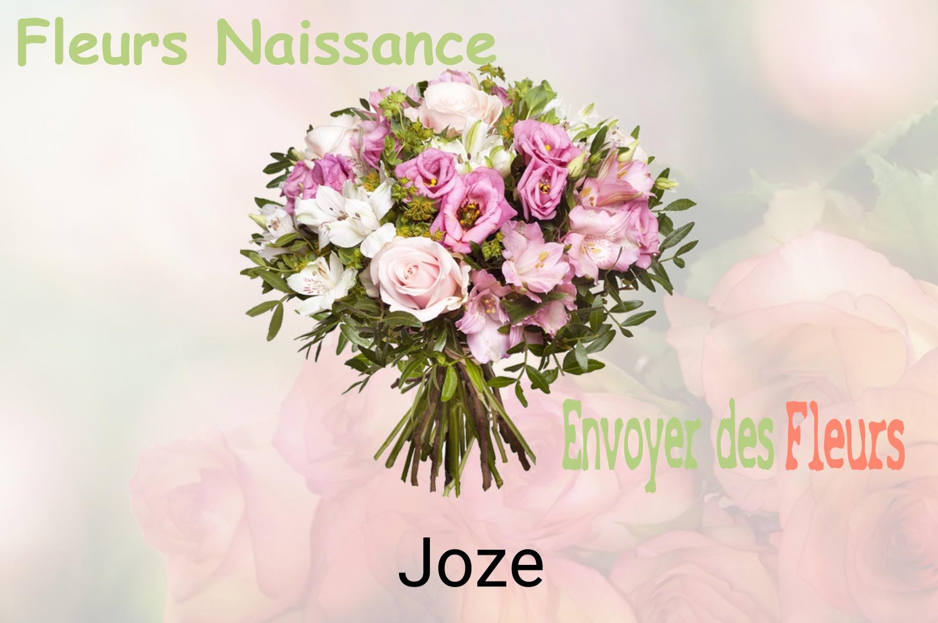 Bouquet de fleurs de naissance livré à Joze